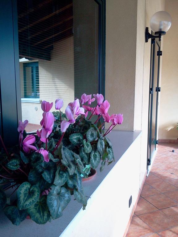 Albergo Al Portico Azzano Decimo Exteriér fotografie